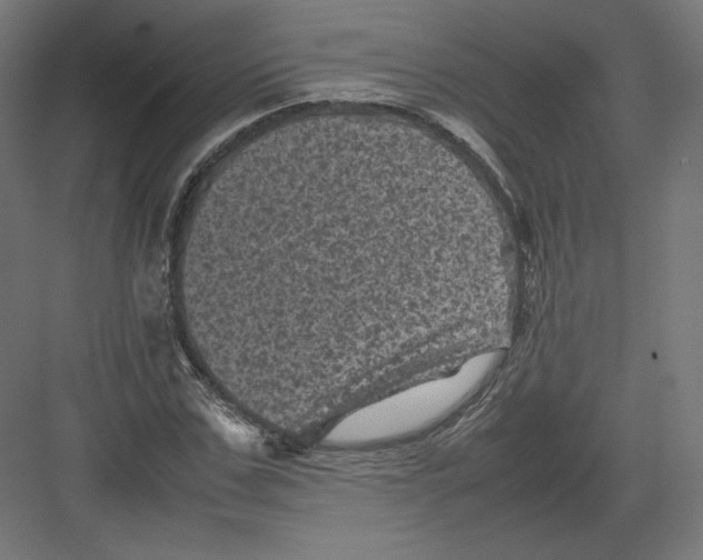 X0000082170971200702092239