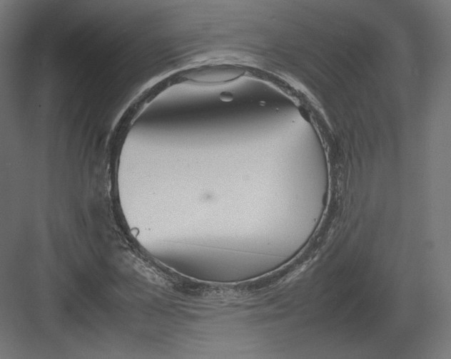 X0000082170973200702092239