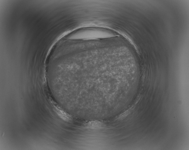 X0000082170974200702092239