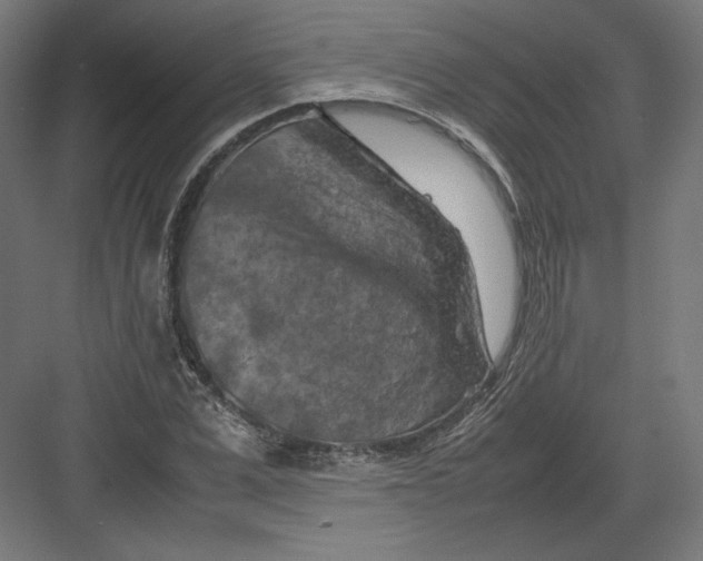 X0000082170975200702092239