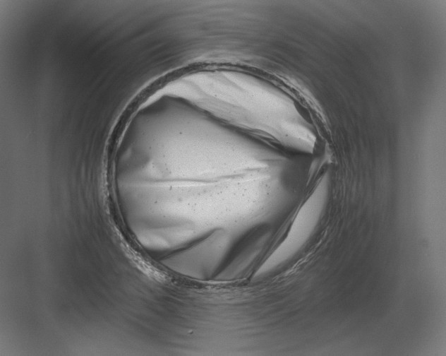 X0000082170976200702092239