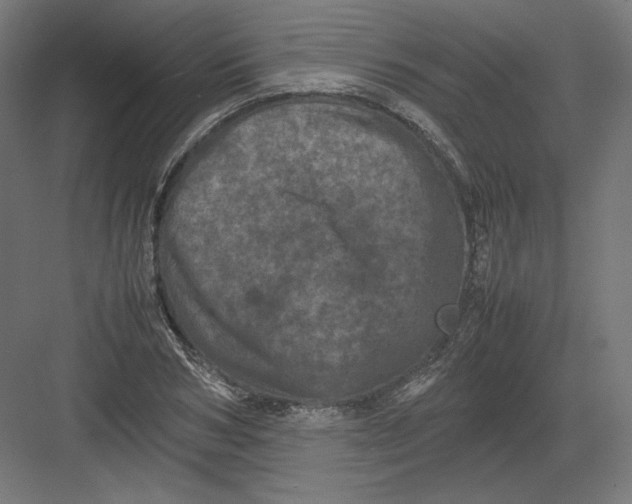 X0000082170978200702092239