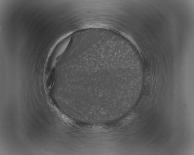 X0000082170979200702092239