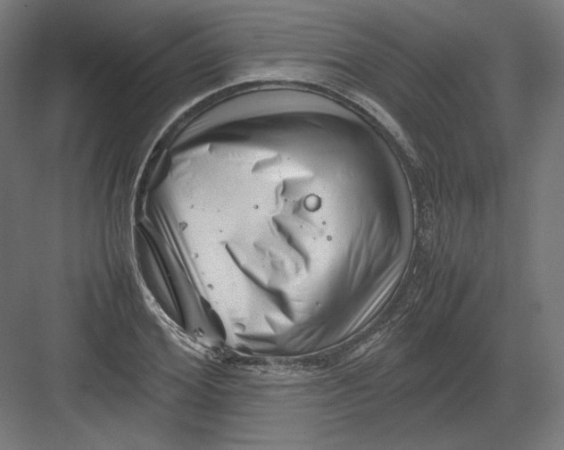 X0000082170980200702092239