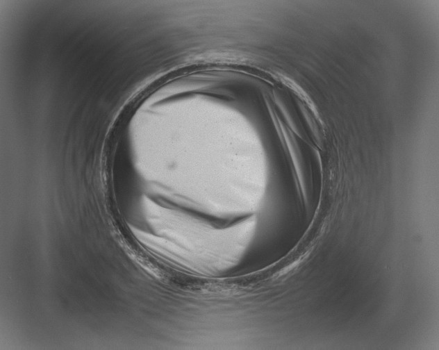 X0000082170981200702092239