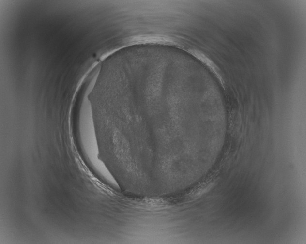 X0000082170983200702092239