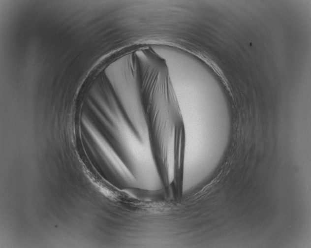 X0000082170984200702092239