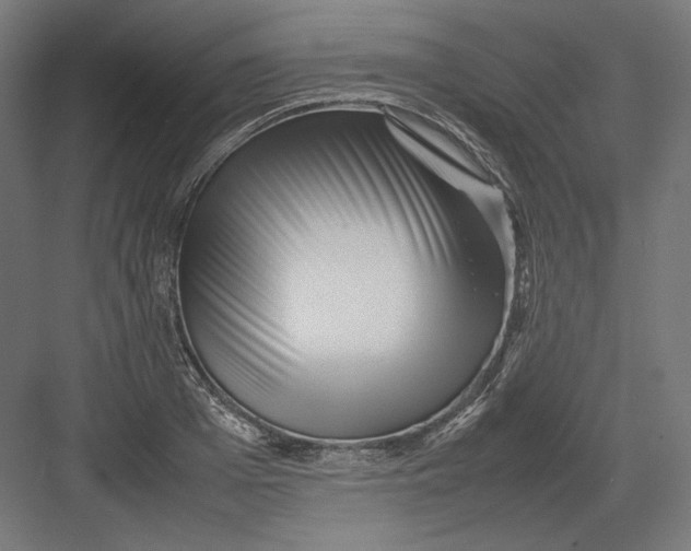 X0000082170985200702092239