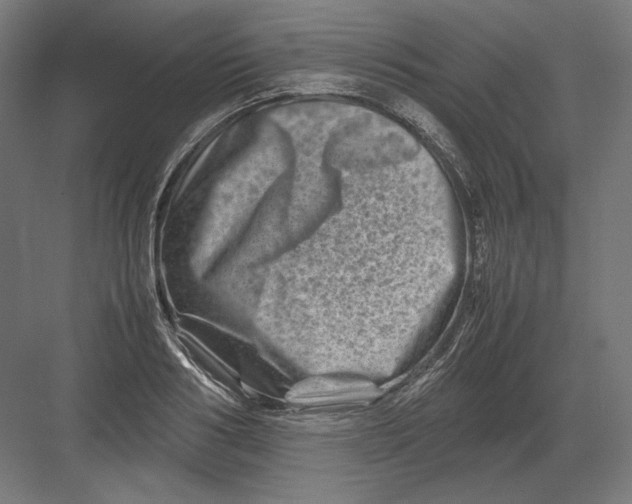 X0000082170986200702092239