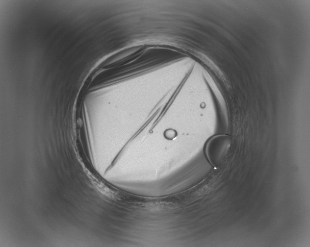 X0000082170988200702092239