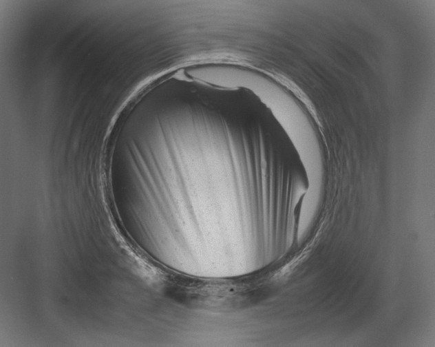 X0000082170989200702092239