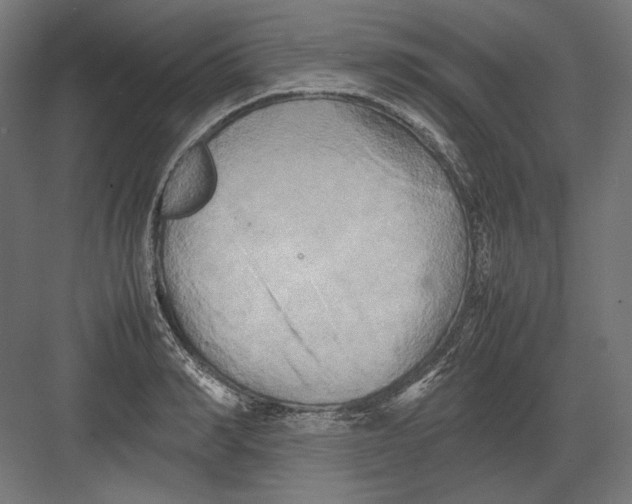 X0000082170990200702092239