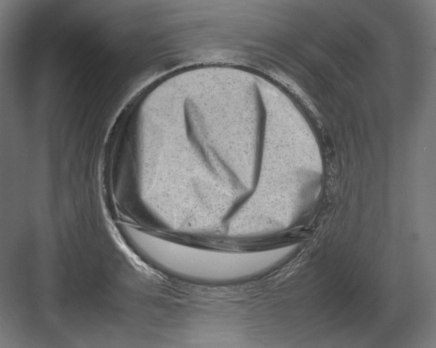 X0000082170991200702092239