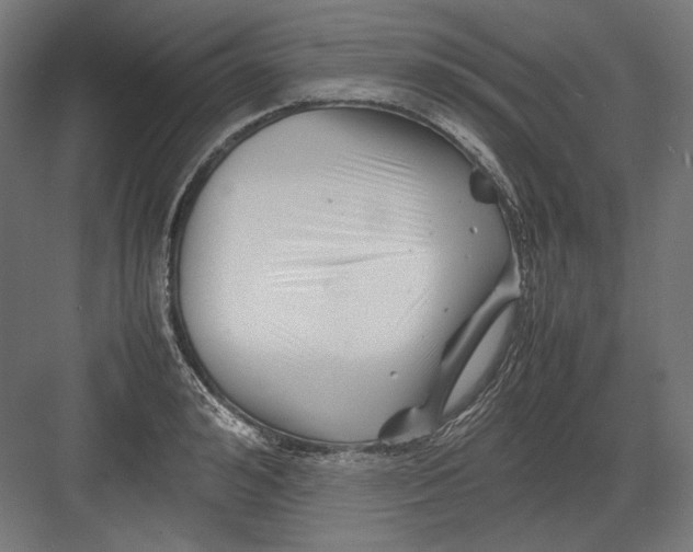 X0000082170992200702092239