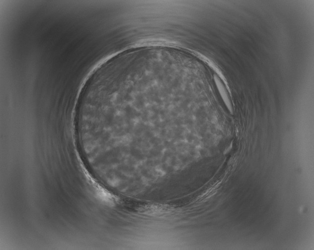 X0000082170995200702092239