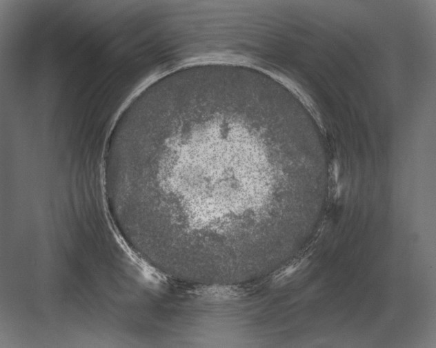 X0000082170998200702092239