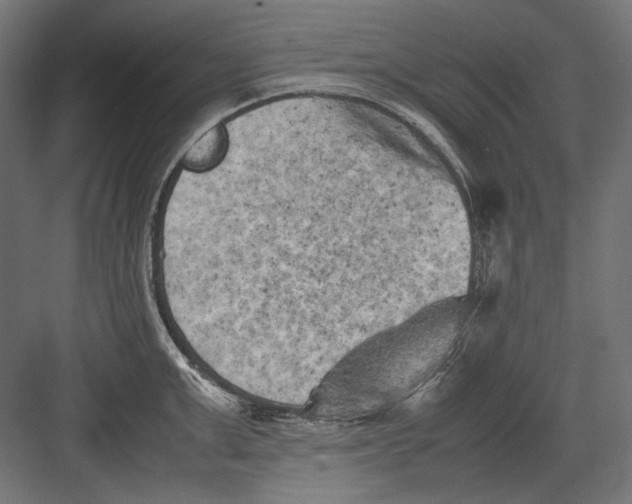 X0000082170999200702092239