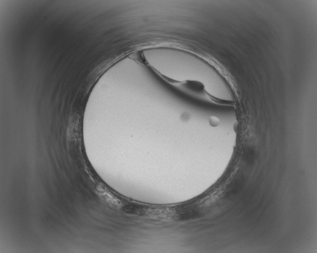 X0000082171001200702092239