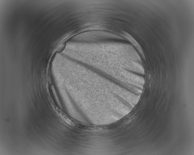 X0000082171002200702092239