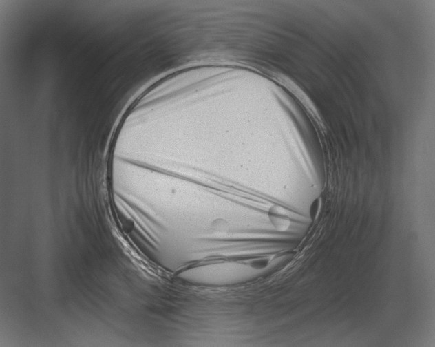 X0000082171004200702092238