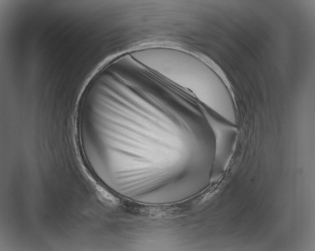 X0000082171005200702092238