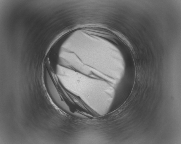 X0000082171006200702092238