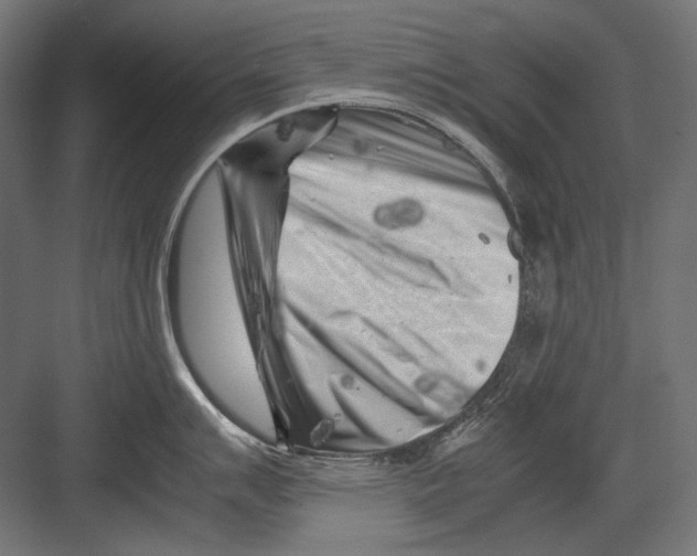 X0000082171007200702092238