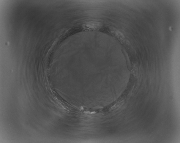 X0000082171009200702092238