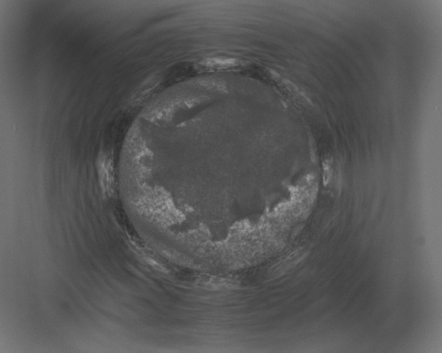 X0000082171011200702092238