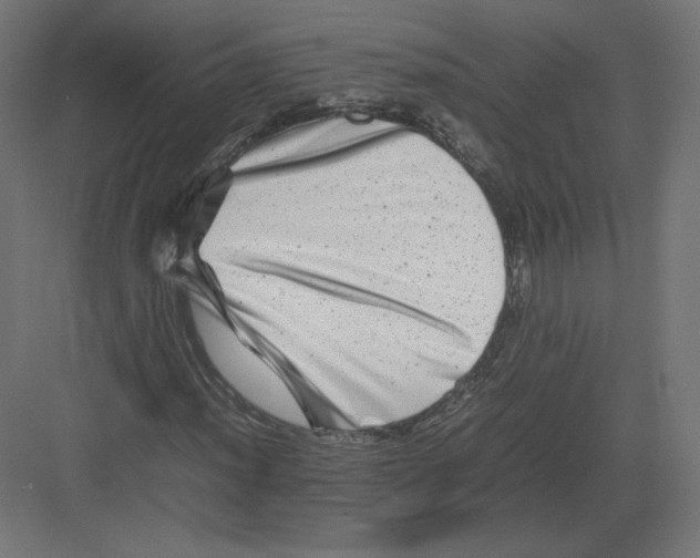 X0000082171012200702092238