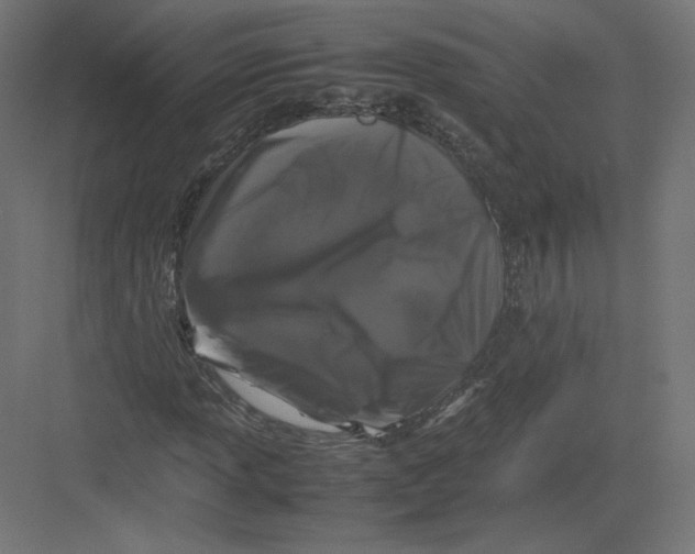 X0000082171013200702092238