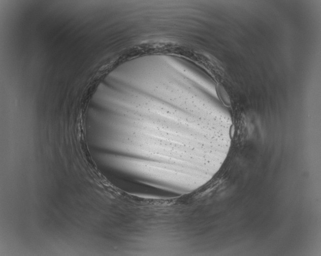 X0000082171014200702092238