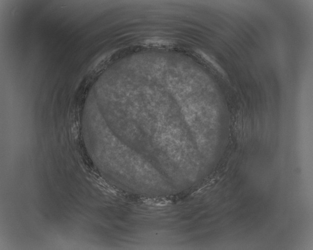 X0000082171015200702092238