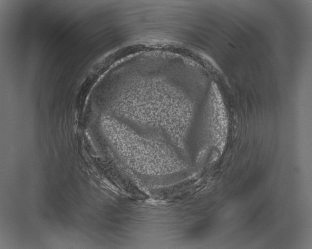 X0000082171016200702092238