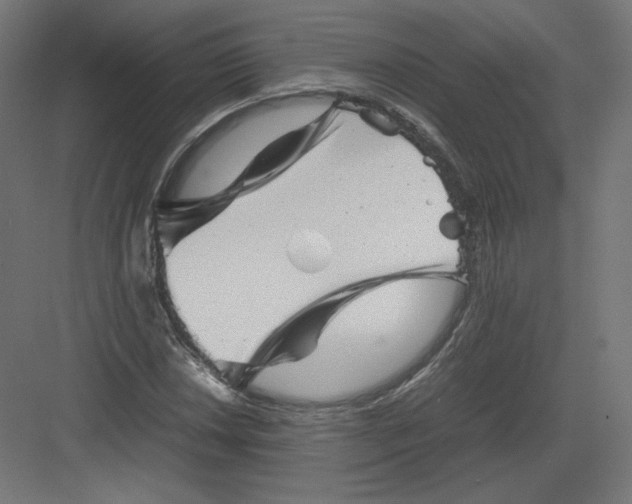 X0000082171018200702092238