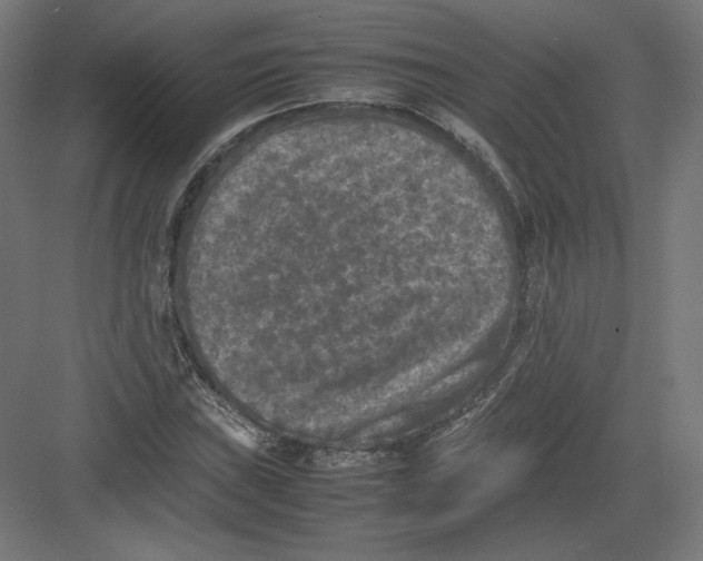 X0000082171019200702092238