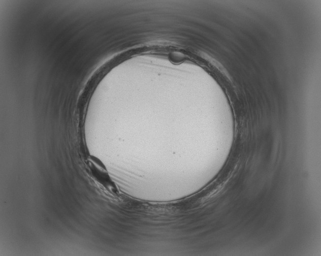 X0000082171021200702092238