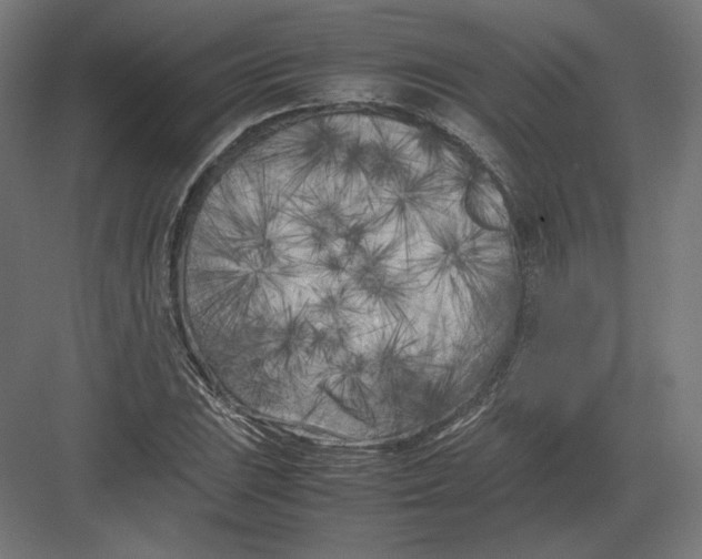 X0000082171023200702092238