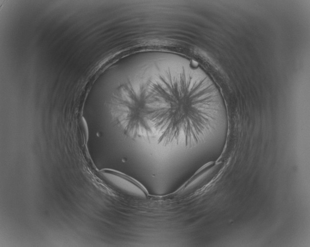 X0000082171025200702092238