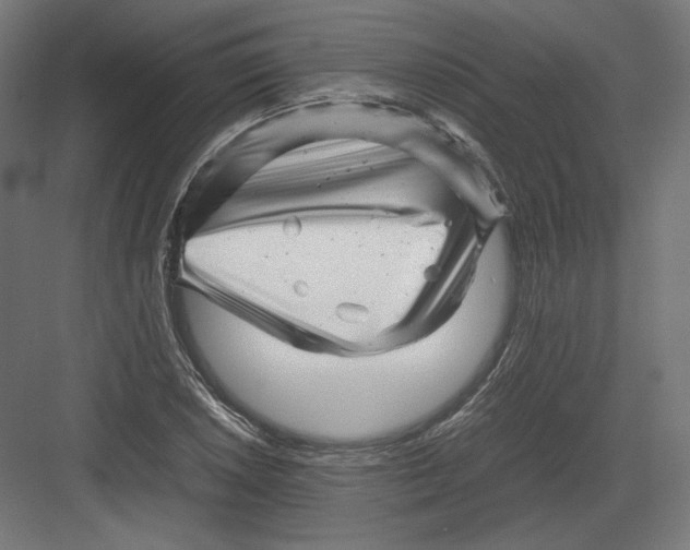 X0000082171026200702092238