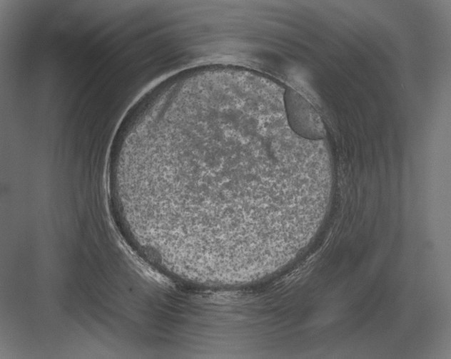 X0000082171028200702092238