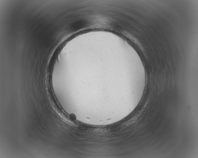 X0000082171029200702092238