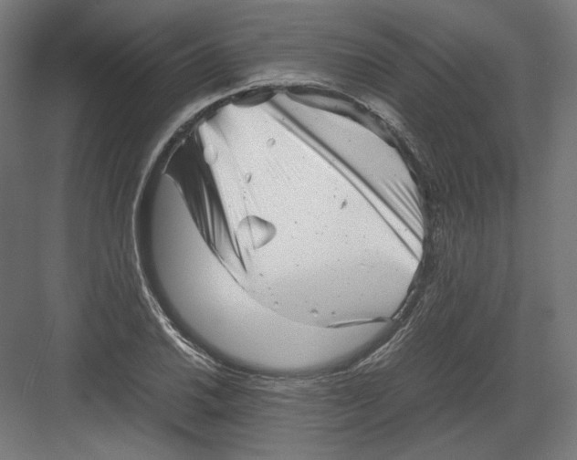 X0000082171030200702092238