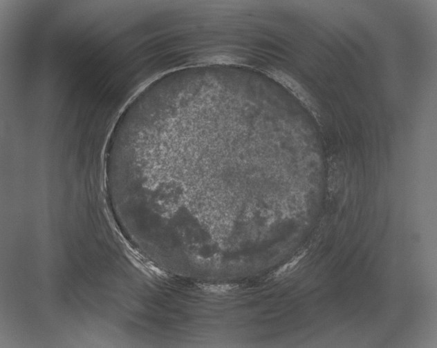 X0000082171031200702092238