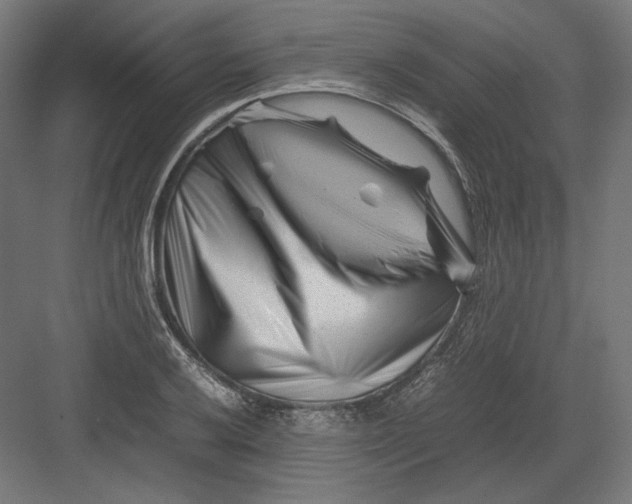 X0000082171032200702092238