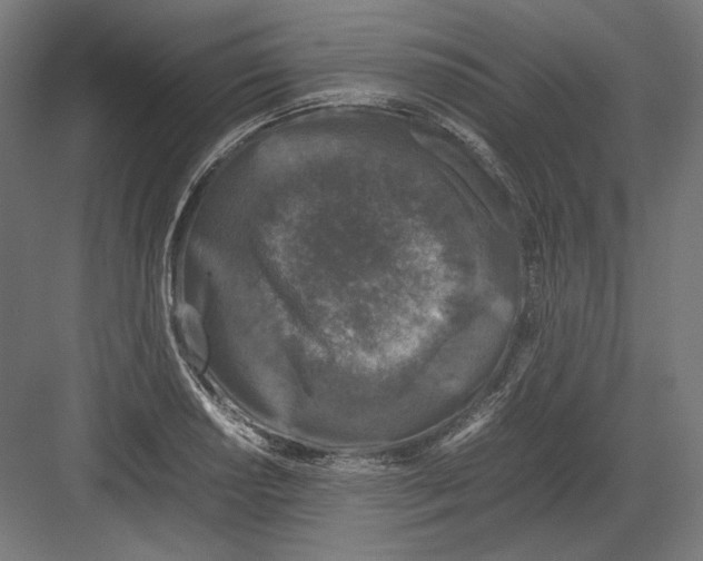 X0000082171034200702092238