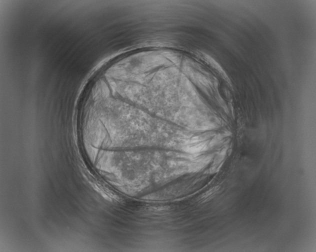 X0000082171035200702092238