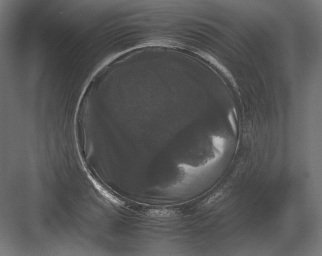 X0000082171037200702092238