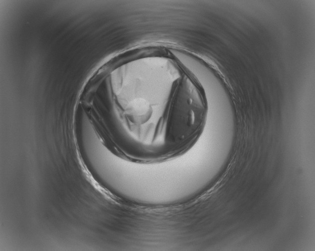 X0000082171038200702092238