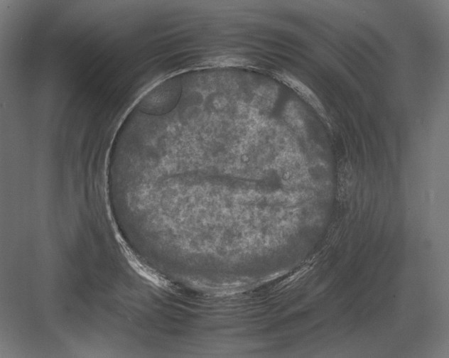 X0000082171039200702092238